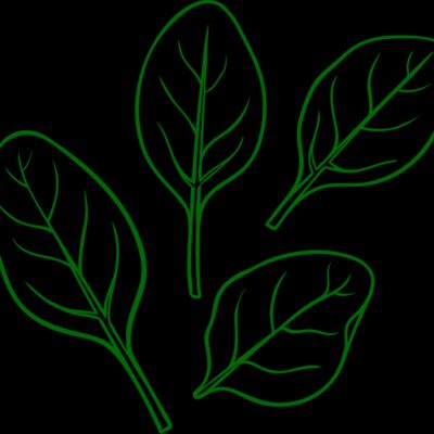 Spinach Thumbnail