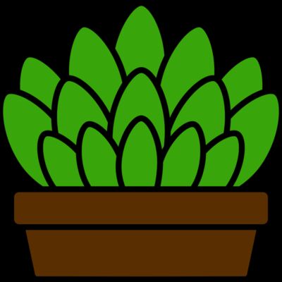 Succulent Plant Thumbnail