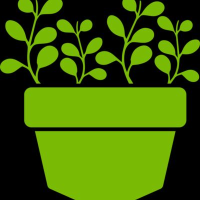 Succulent Plant 3 Thumbnail