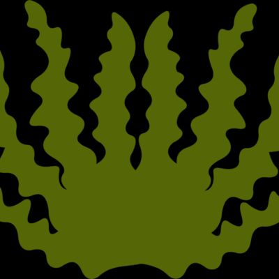 Sea Plant 2 Thumbnail