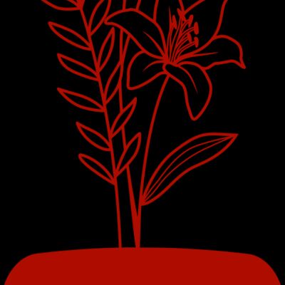 Flowers 11 Thumbnail