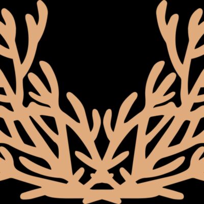 Sea Plants Thumbnail