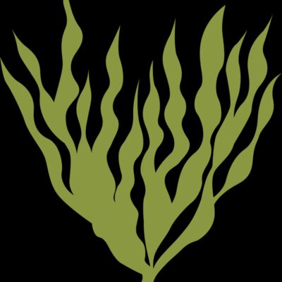 Sea Plants 5 Thumbnail