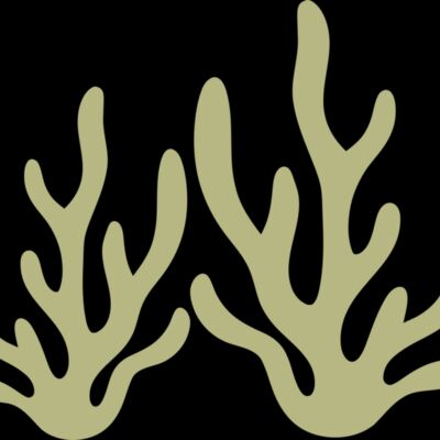 Sea Plants 2 Thumbnail