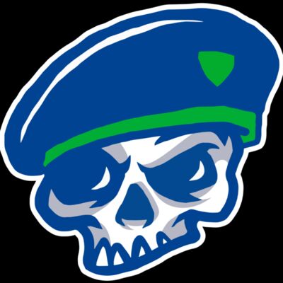 Elements Skulls logo template 100 Thumbnail