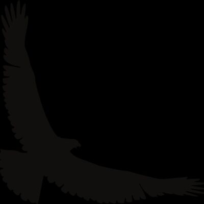 Eagle   Clipart 2 Thumbnail