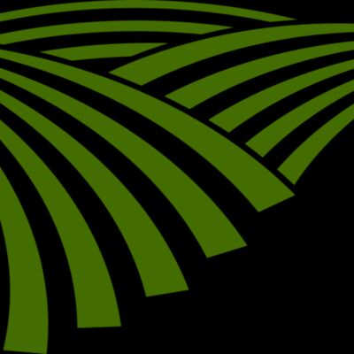 71 Rice Field Thumbnail